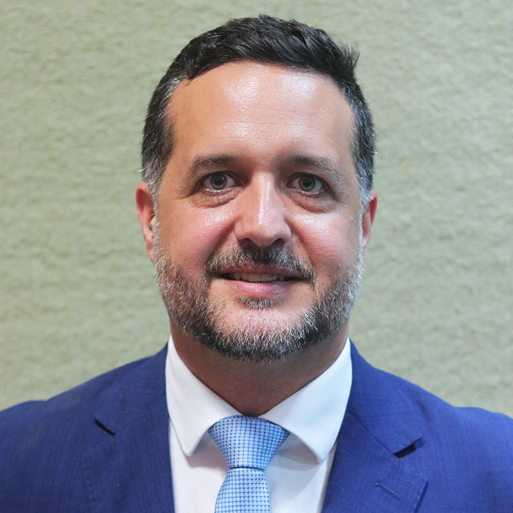 Deputado Gandini